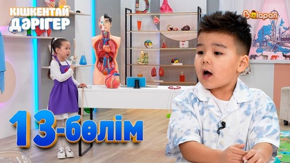 13-бөлім