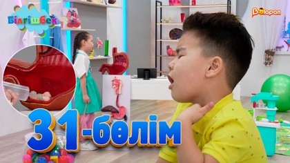 31-бөлім