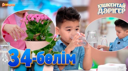 35-бөлім