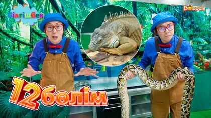 12-бөлім