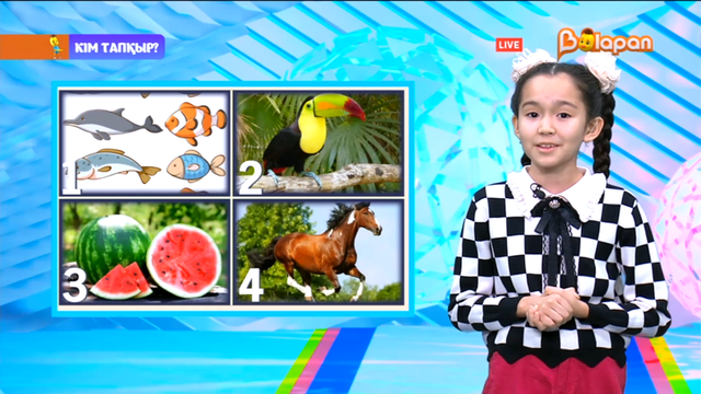 «Кім тапқыр?». 2-маусым. 101-бөлім. 06.03.2023ж.