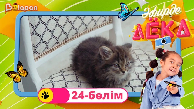 Эфирде Аека. 24-бөлім