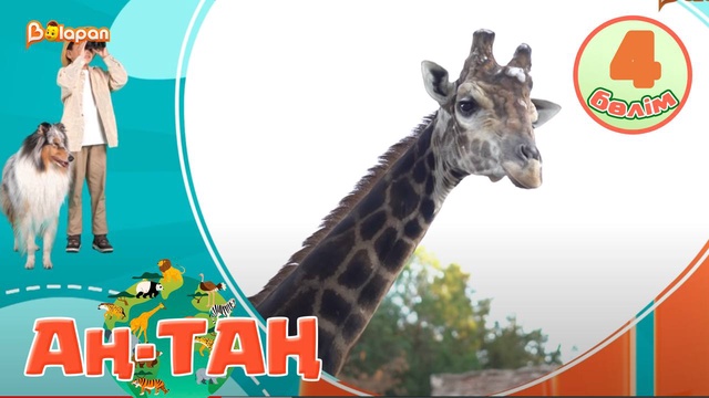 Аң-таң. 4-бөлім