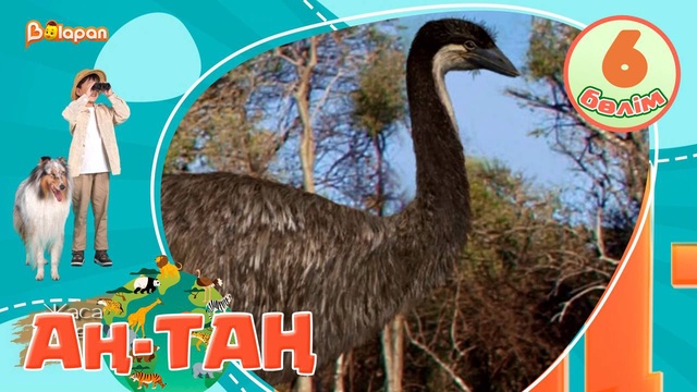 Аң-таң. 6-бөлім