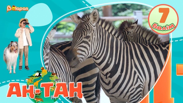 Аң-таң. 7-бөлім