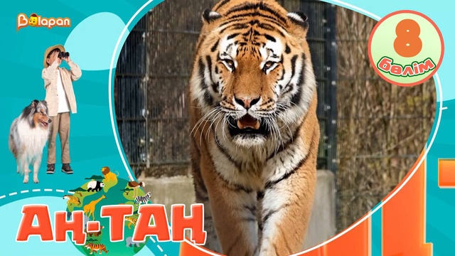 Аң-таң. 8-бөлім