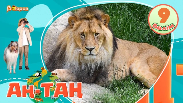 Аң-таң. 9-бөлім