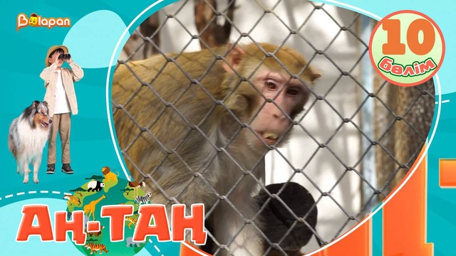 Аң-таң. 10-бөлім