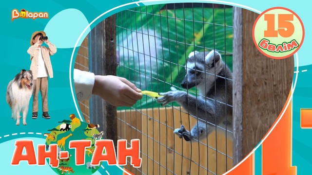 Аң-таң. 15-бөлім