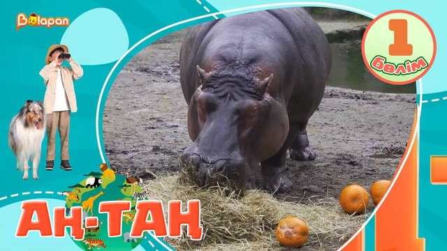 Аң-таң. 1-бөлім