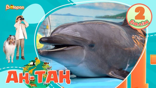 Аң-таң. 2-бөлім