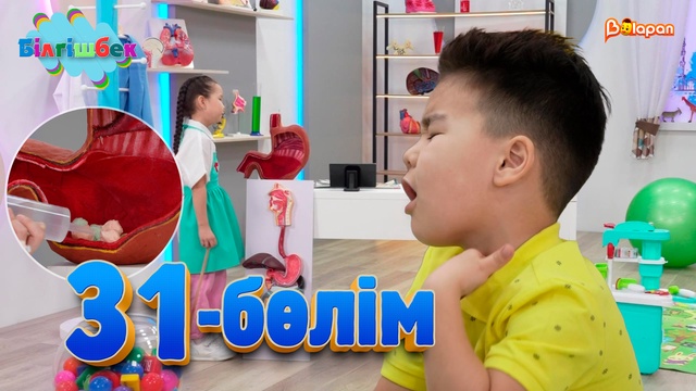 31-бөлім