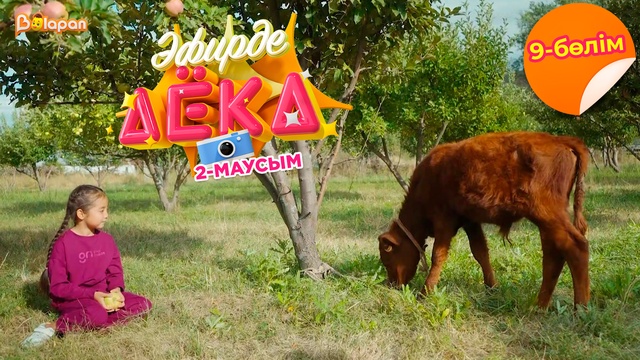 Эфирде Аека. 2-маусым. 9-бөлім