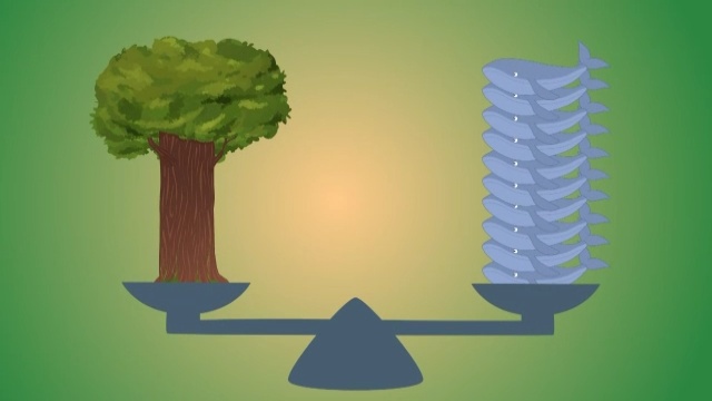  Зерттеуші Зейін. Ағаштар туралы. 16-бөлім