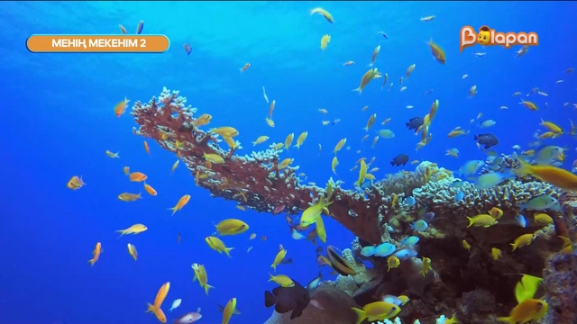 Менің мекенім. 1-бөлім