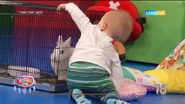 Тәй тәй Шоу - 19-хабар (Толық нұсқа)