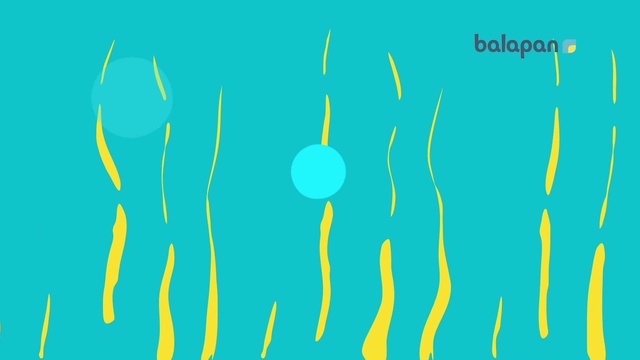 «Аспаз мектебі» бағдарламасын сейсенбі, бейсенбі күндері тамашалай аласыңдар (ВИДЕО)