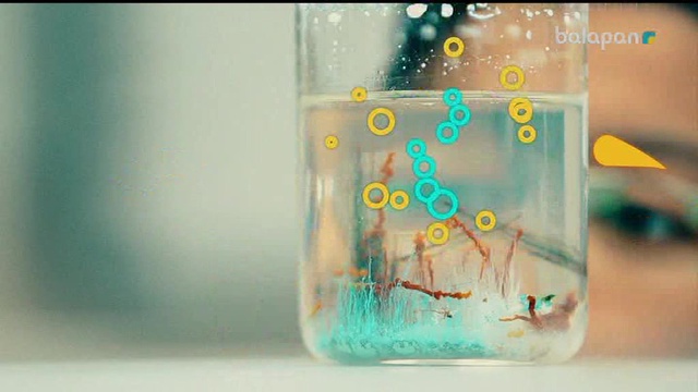 «Не? Қайда? Қашан?». Тікелей эфир  04-11-2017