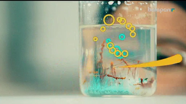 «Не? Қайда? Қашан?». Тікелей эфир  11-11-2017