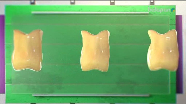 «Алтын сақа». Білекті бірді, білімді мыңды жығар! (2017 ж.)20-02-2018