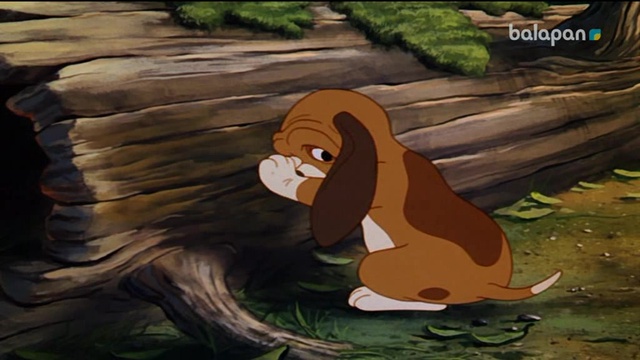 "Түлкі мен ит" мультхикаясы анонс