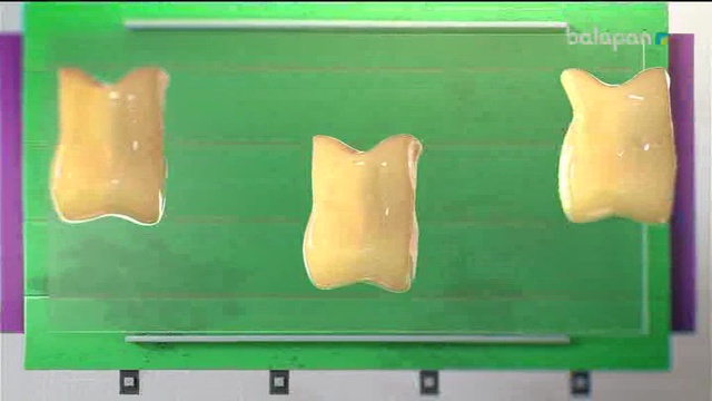 «Алтын сақа». Білекті бірді, білімді мыңды жығар! (2017 ж.) 04-04-2018