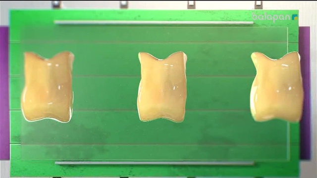 «Алтын сақа». Білекті бірді, білімді мыңды жығар! (2017 ж.) 15-03-2018