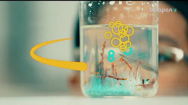 «Не? Қайда? Қашан?». Тікелей эфир 16-12-2017