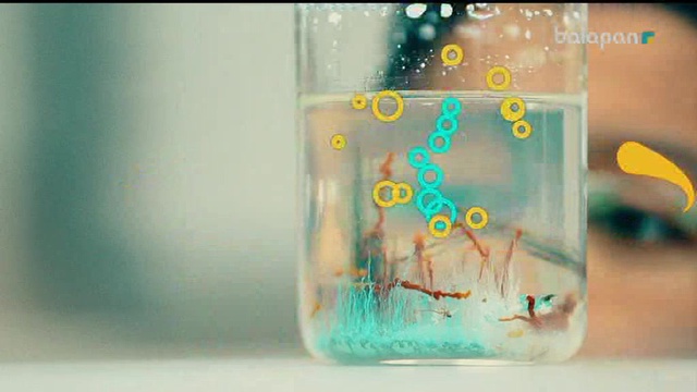 «Не? Қайда? Қашан?». Тікелей эфир 02 -12 -2017