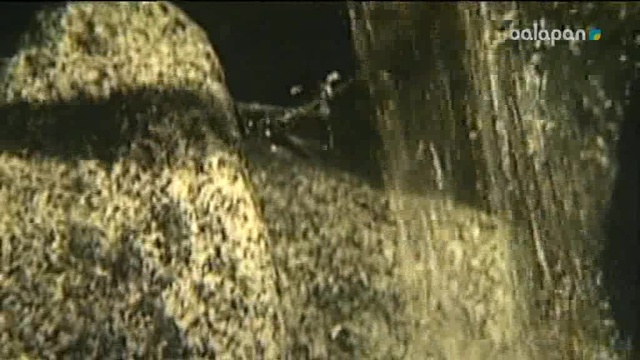 "Алты жасар Алпамыс" анонс