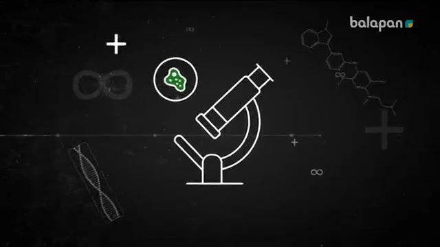 «+ Шексіздік». Ғылыми-танымдық бағдарлама (2018 ж.) Архи маңызды Архимед 16-11-2018