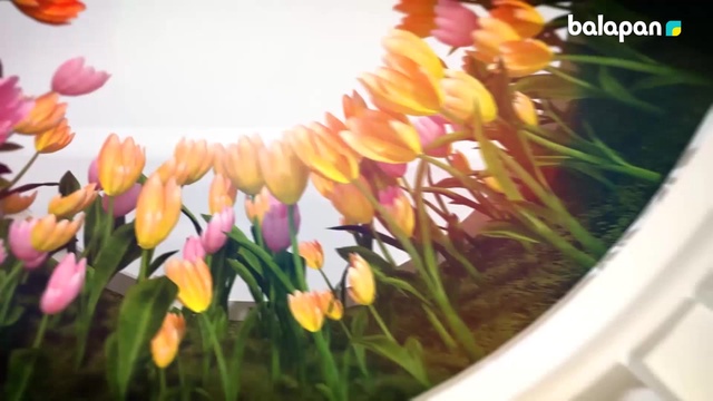 Келе жатқан 8 наурыз Халықаралық əйелдер мерекесiне арналған құттықтау. 2-бөлім