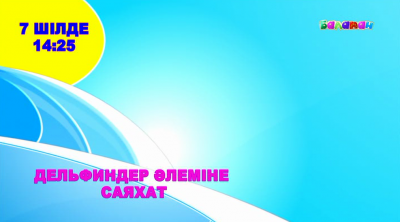 «Балапан» телеарнасымен дельфиндер әлеміне саяхат жаса