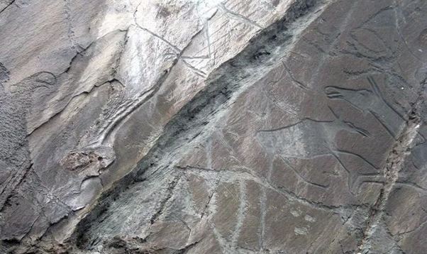 Алматылық мектеп оқушысы бұрын белгісіз болған тастағы суреттерді тапты